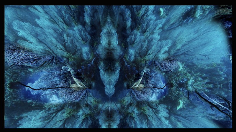 Oceanic Inspirations 35