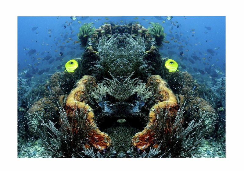 Oceanic Inspirations 37