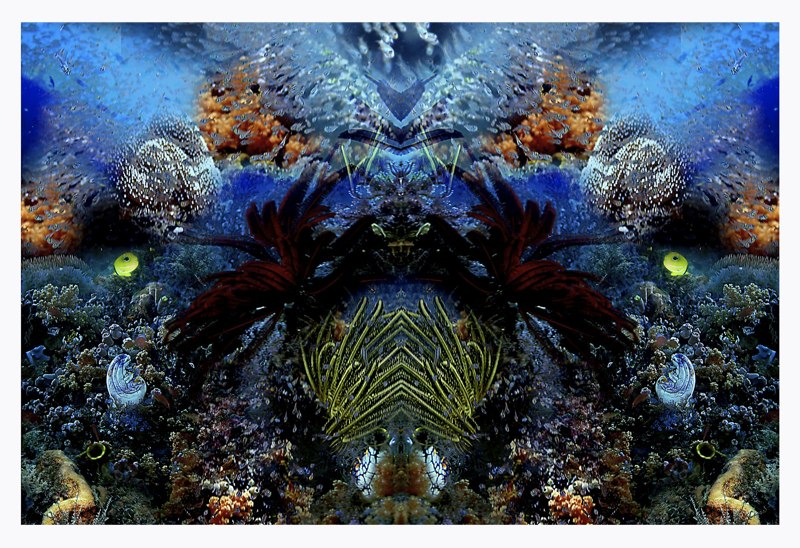 Oceanic Inspirations 38