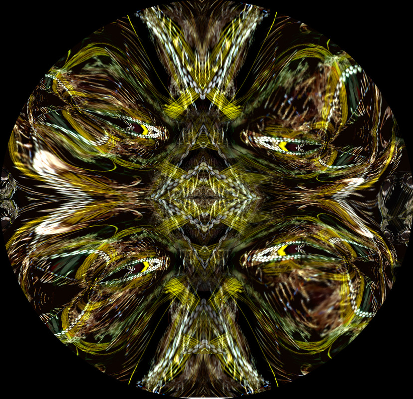 Oceanic Inspirations 48
