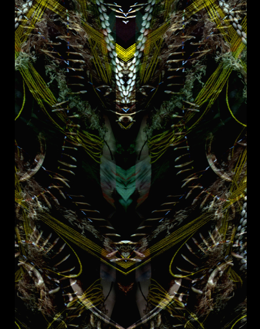 Oceanic Inspirations 49