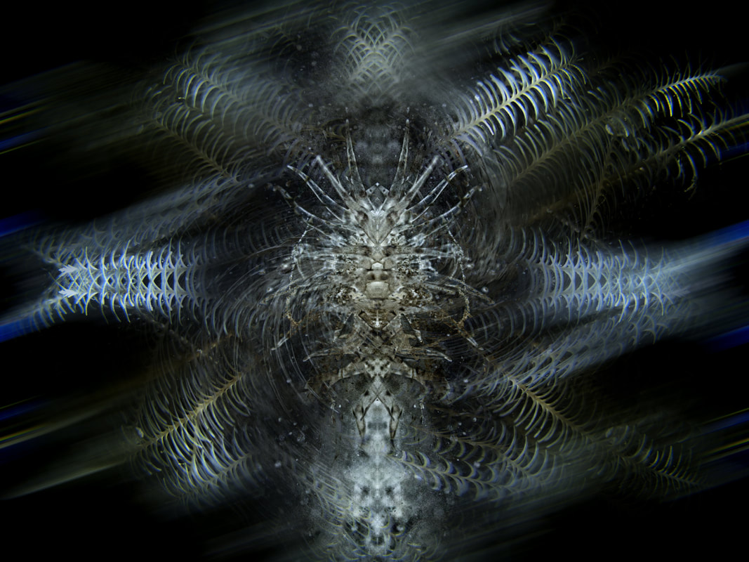 Oceanist 2 1