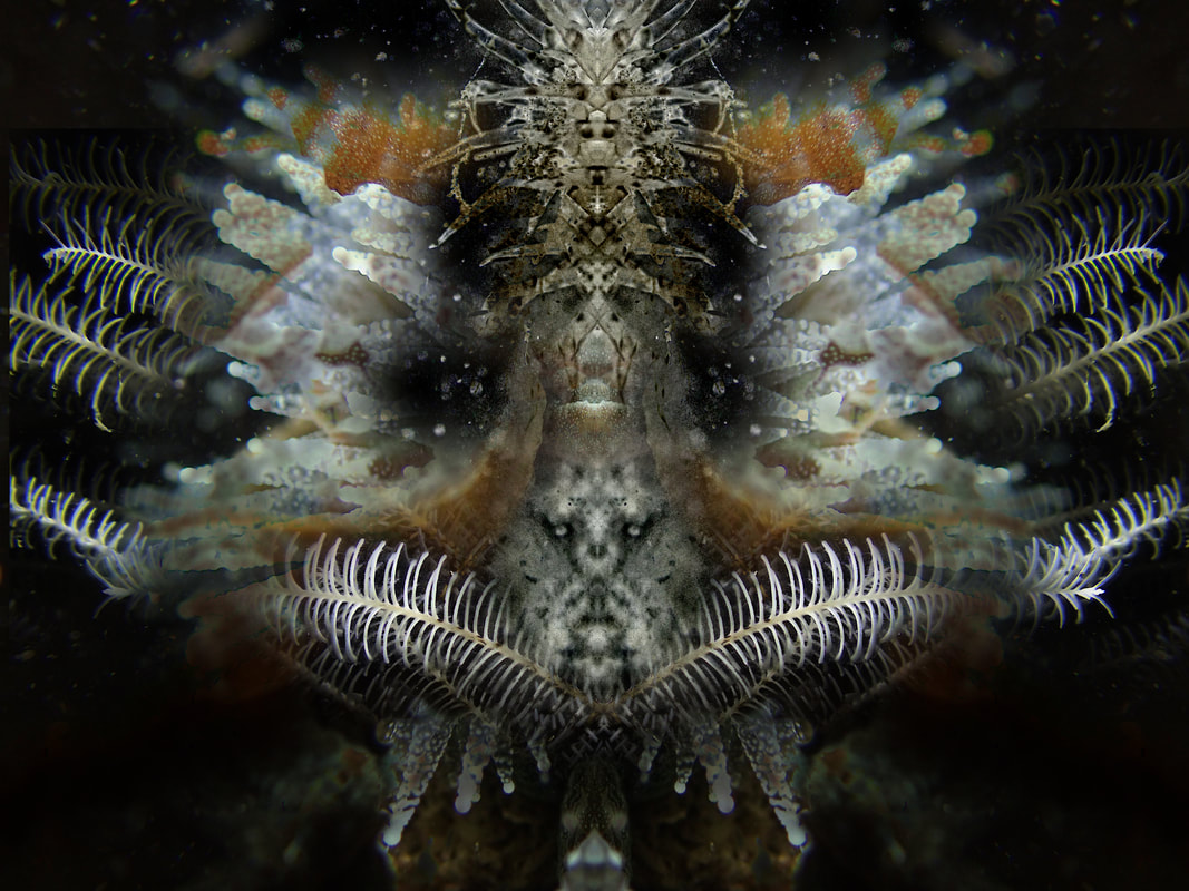 Oceanist 2 2