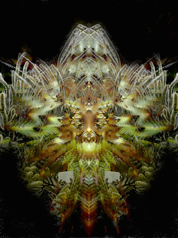 Oceanist 2 3