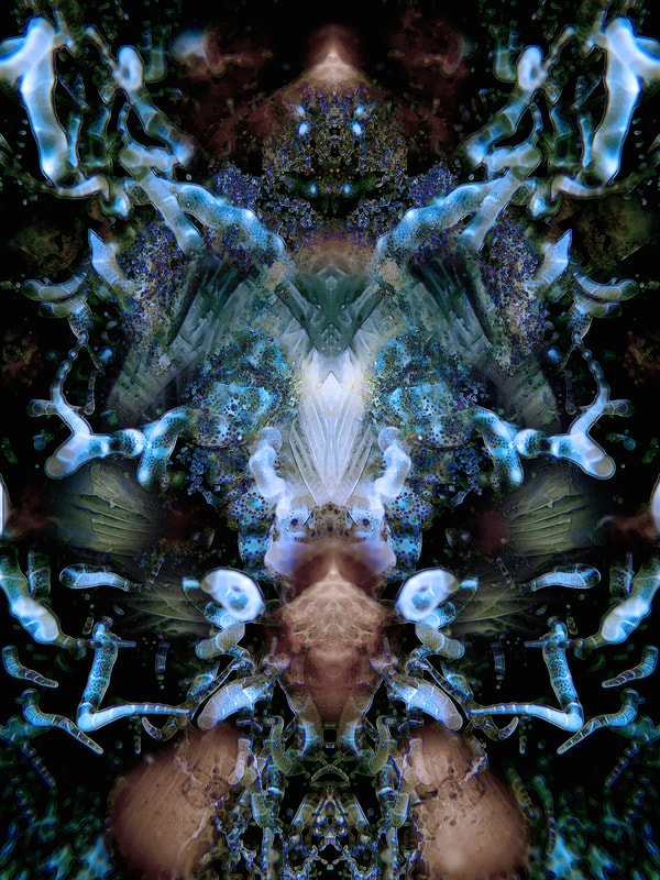 Oceanist 2 4
