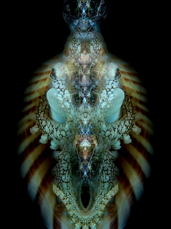 Oceanist Serie 3