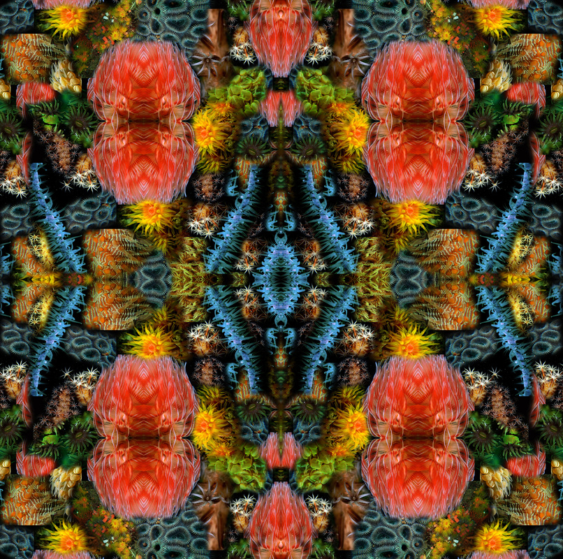 Reef Mosaic 6