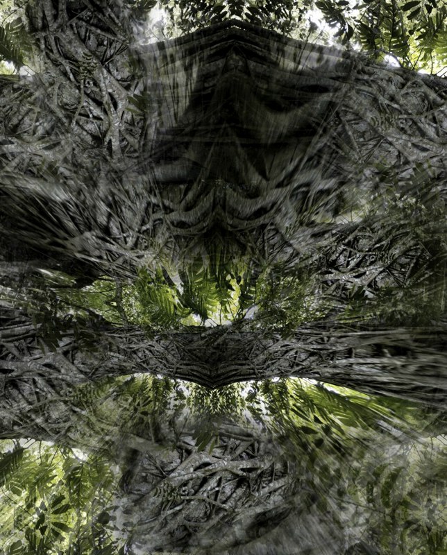 Spirit of the Forest 2