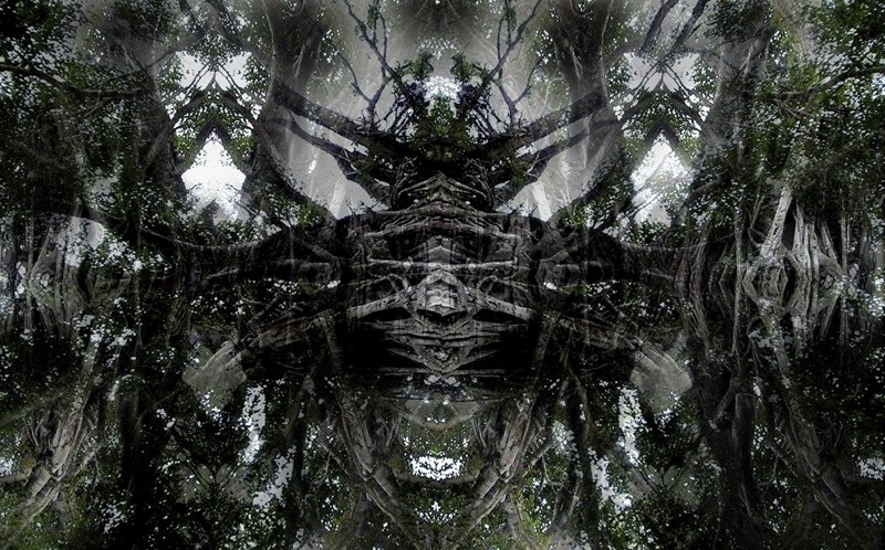 Spirit of the Forest 4