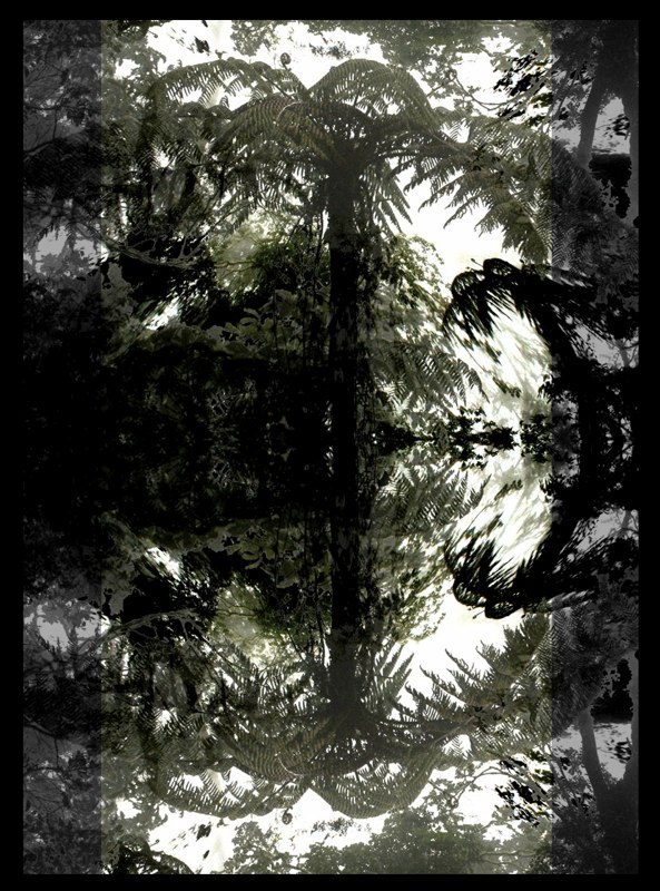 Spirit of the Forest 6