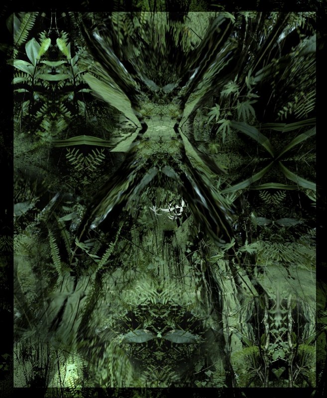Spirit of the Forest 8