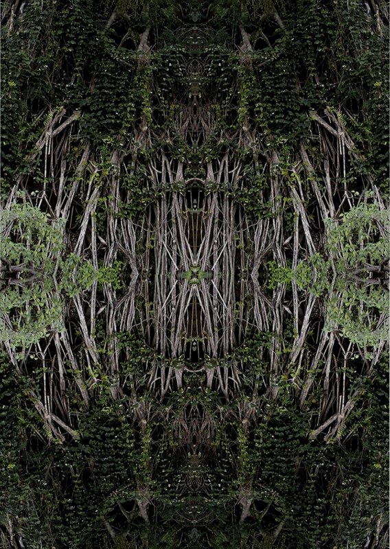 Spirit of the Forest 13