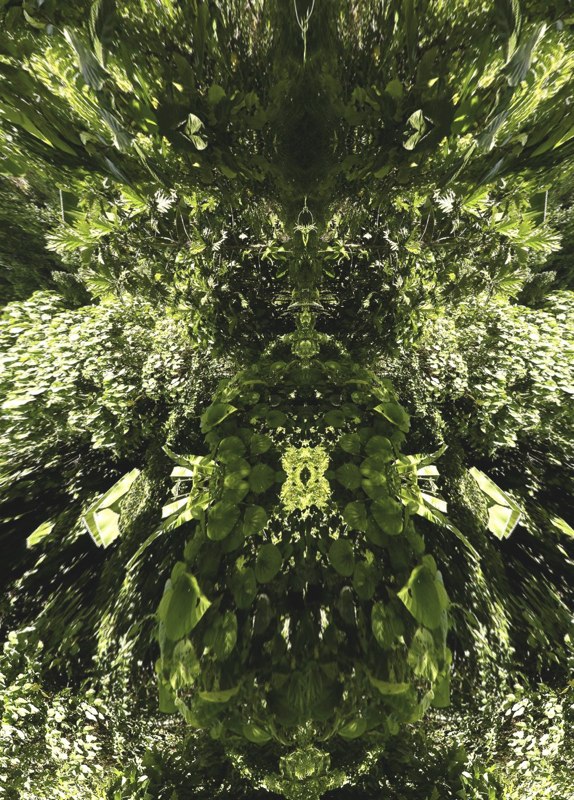 Spirit of the Forest 21