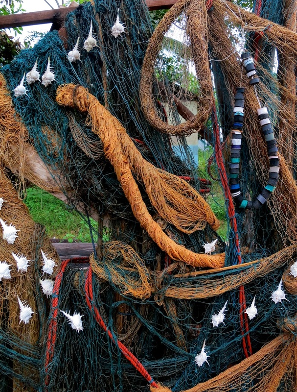 Nets and Shells