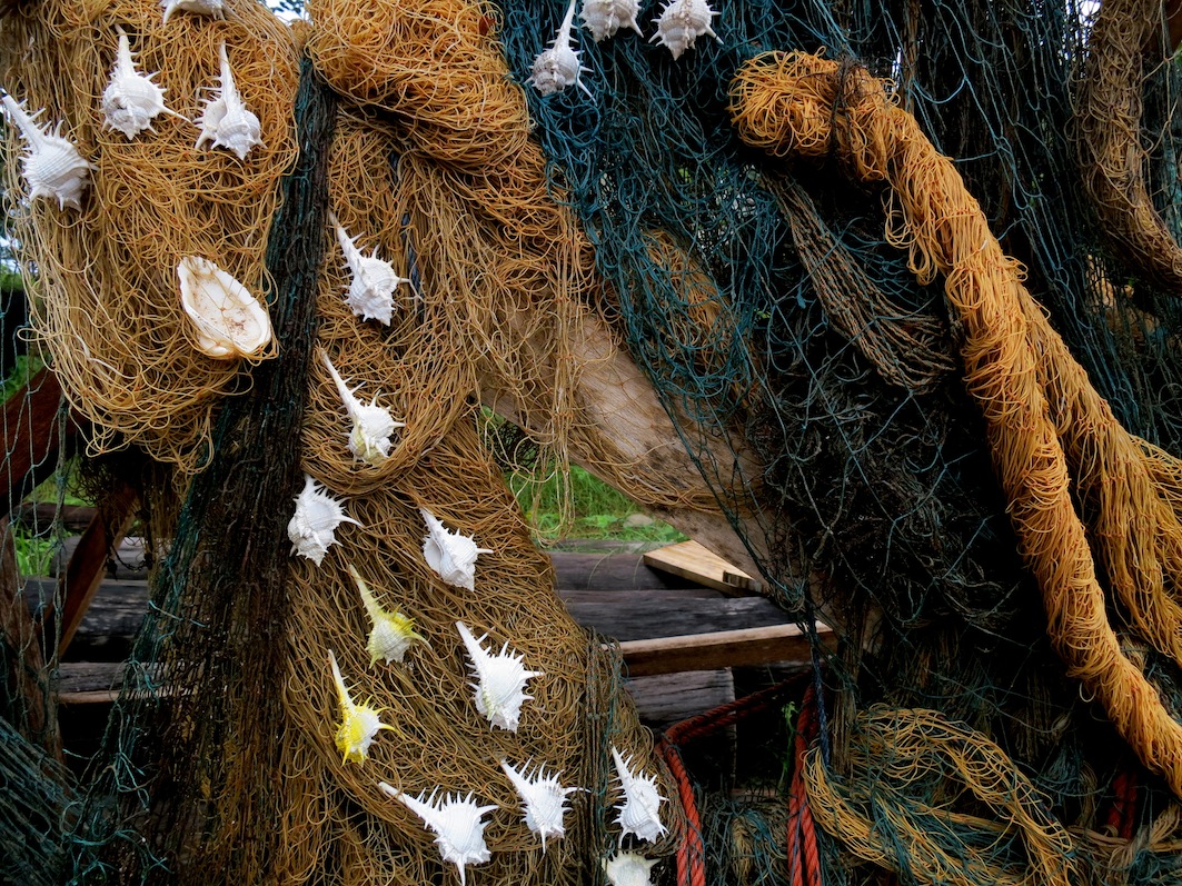 Nets and Shells
