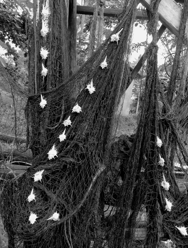 Nets and Shells