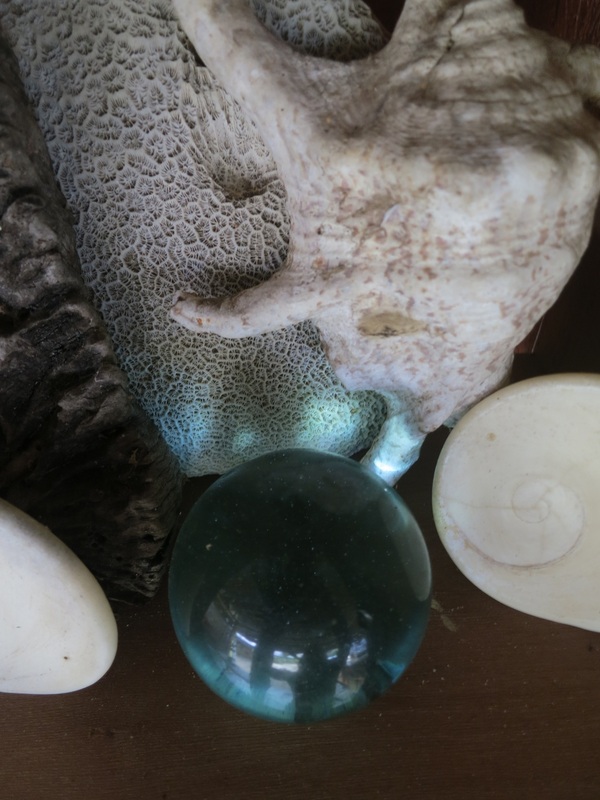 Nets and Shells