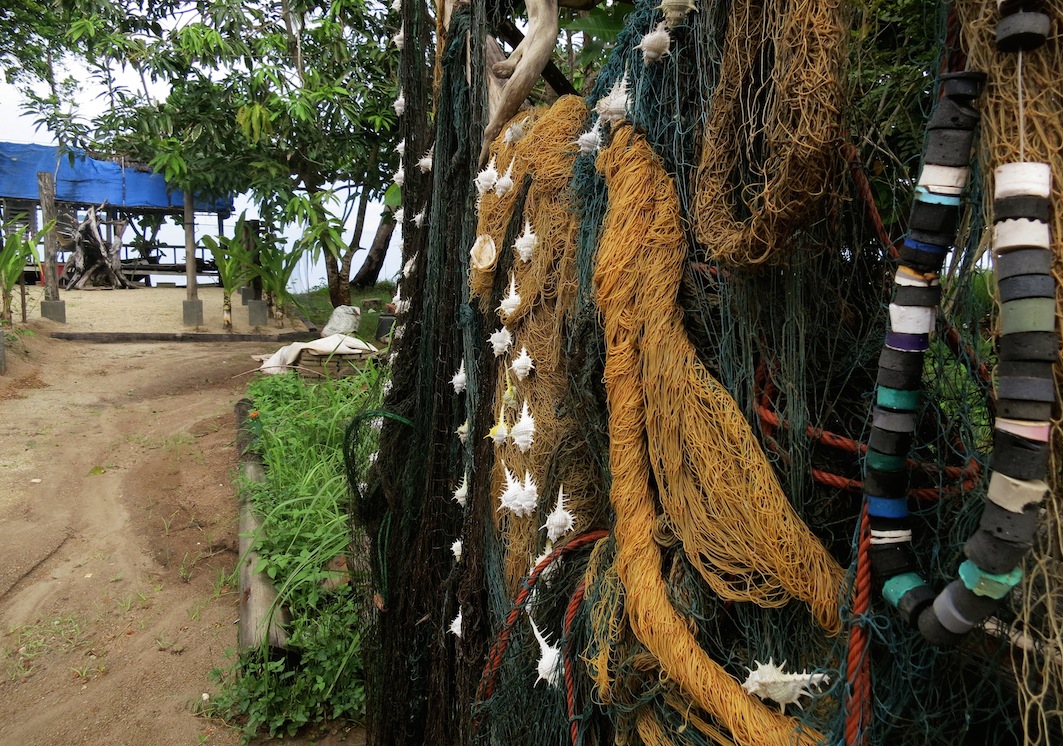 Nets and Shells