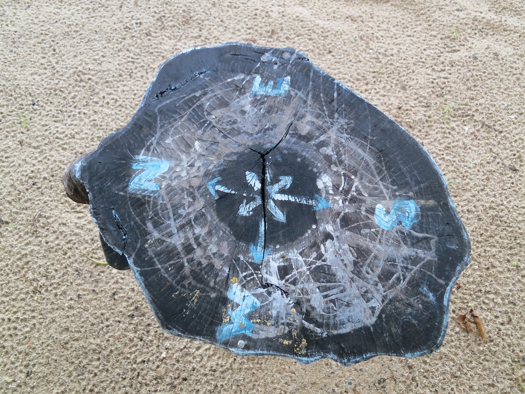 Nets and Shells