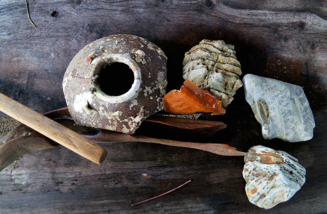 Nets and Shells
