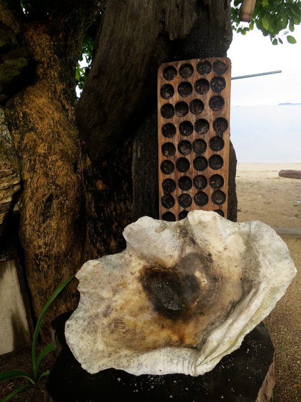 Nets and Shells