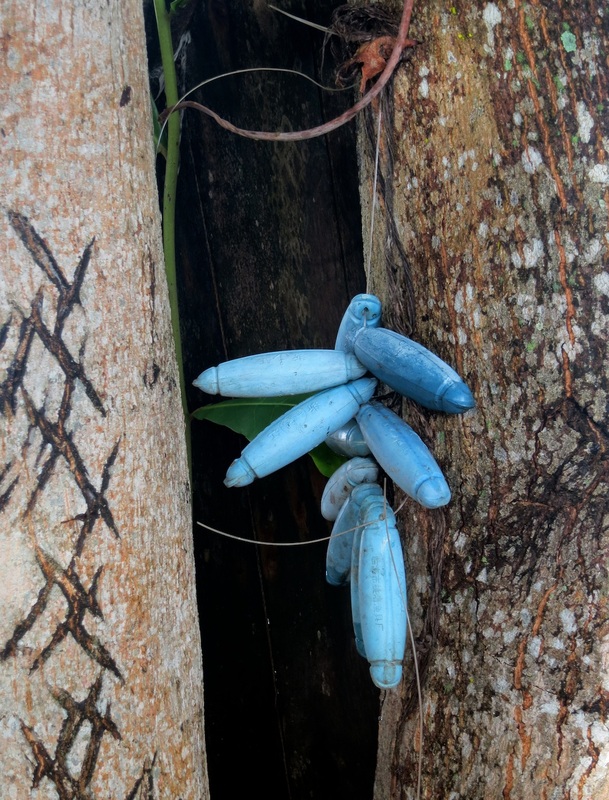 Nets and Shells