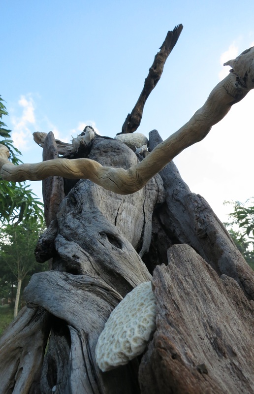 Wooden sculpture