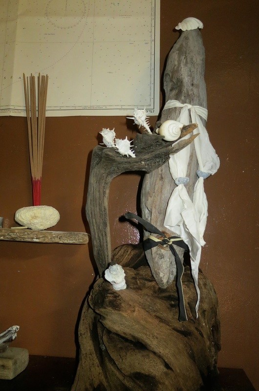 Driftwood assemblage, December 2014