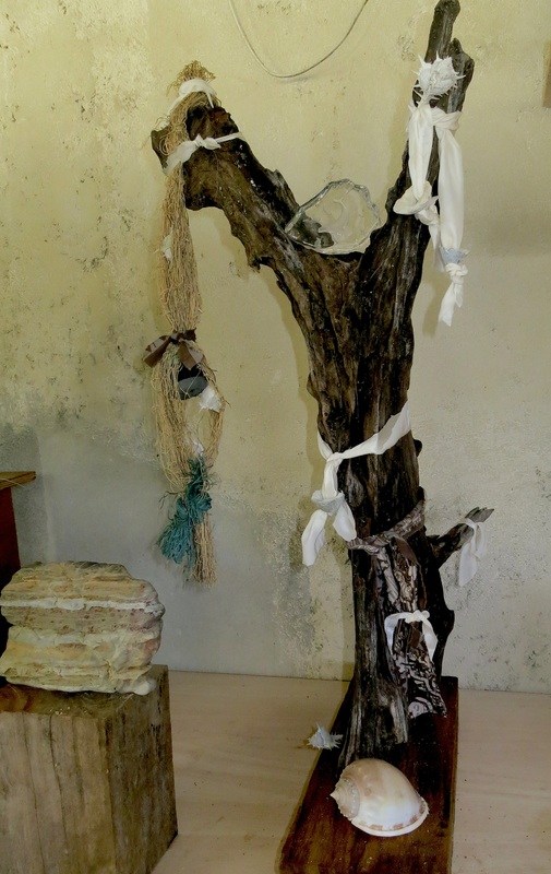 Driftwood assemblage, December 2014