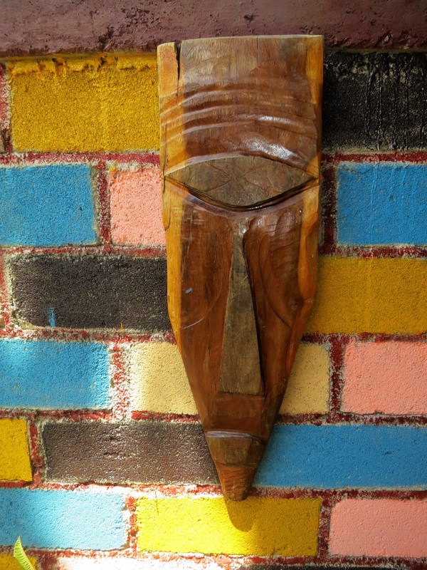 Driftwood assemblage, December 2014