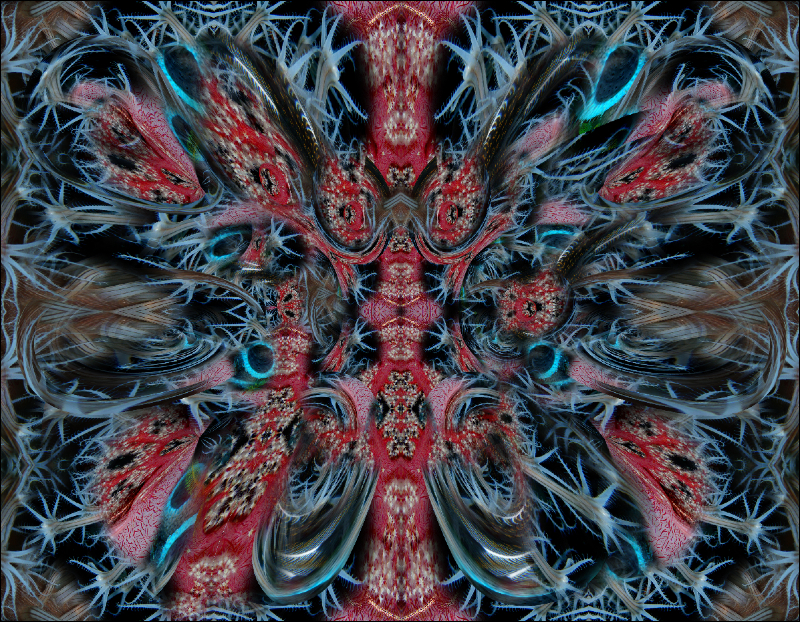 Coral Reef Mosaic