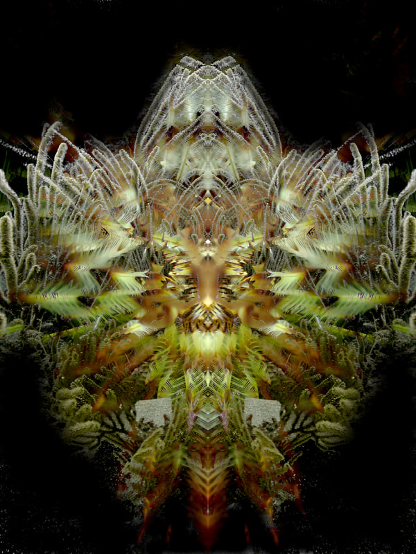 Oceanist Serie
