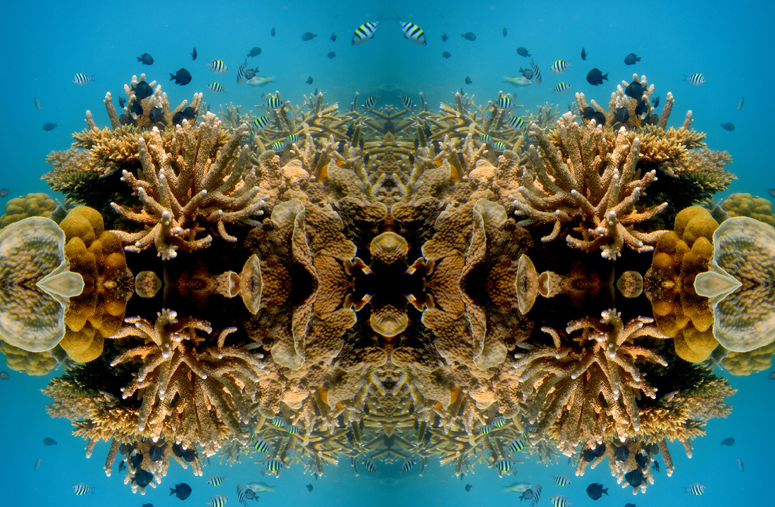 Reef Mosaic
