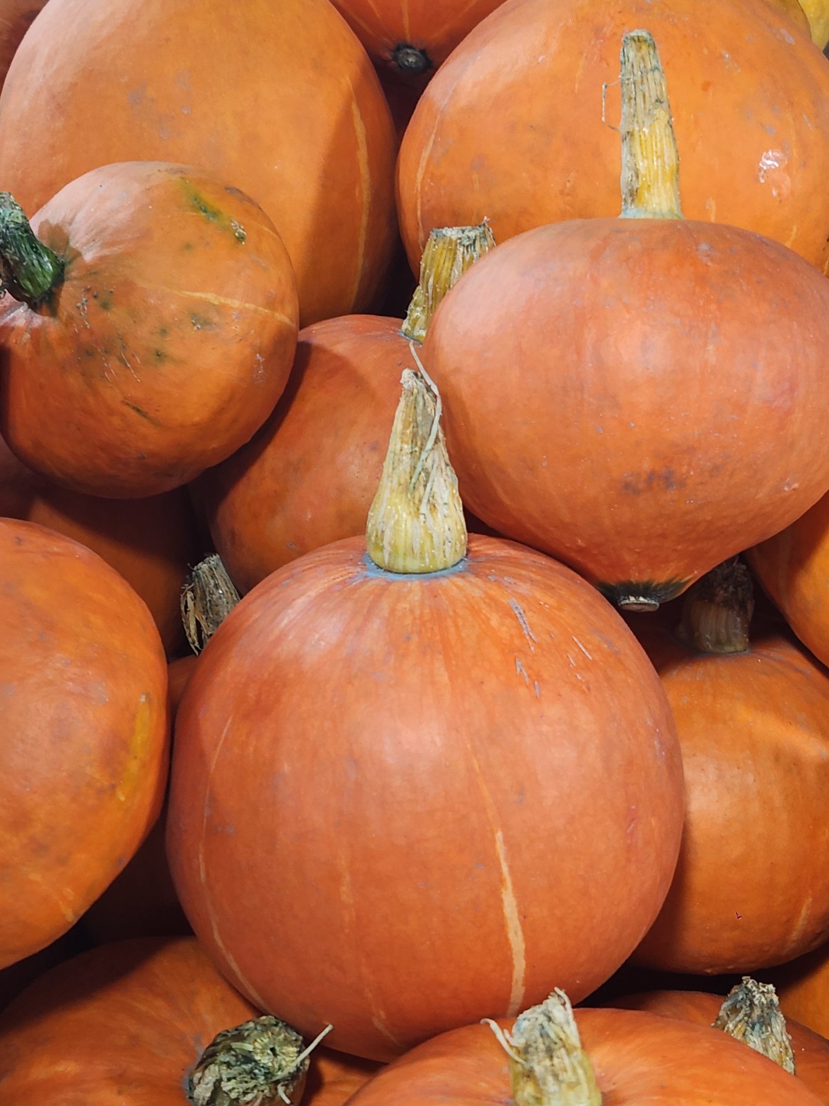 From the market