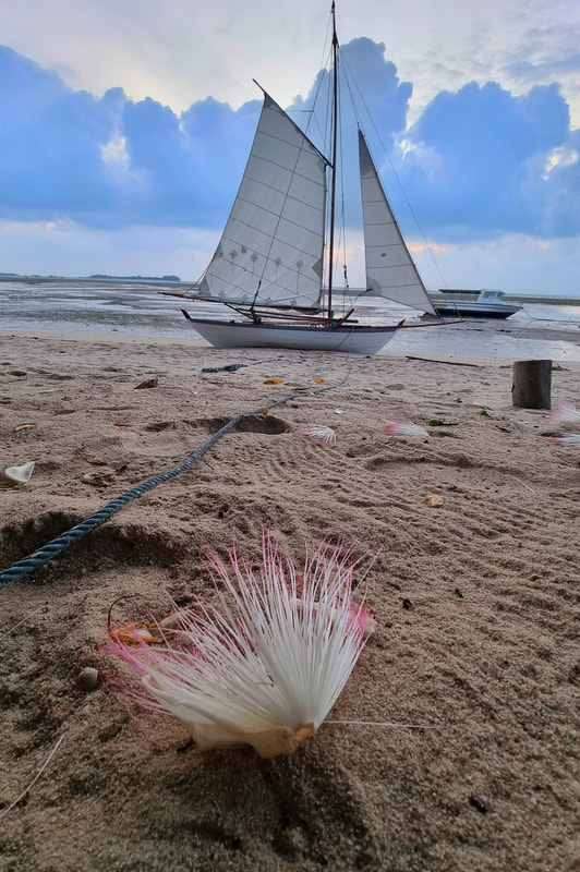 Moana Sampan