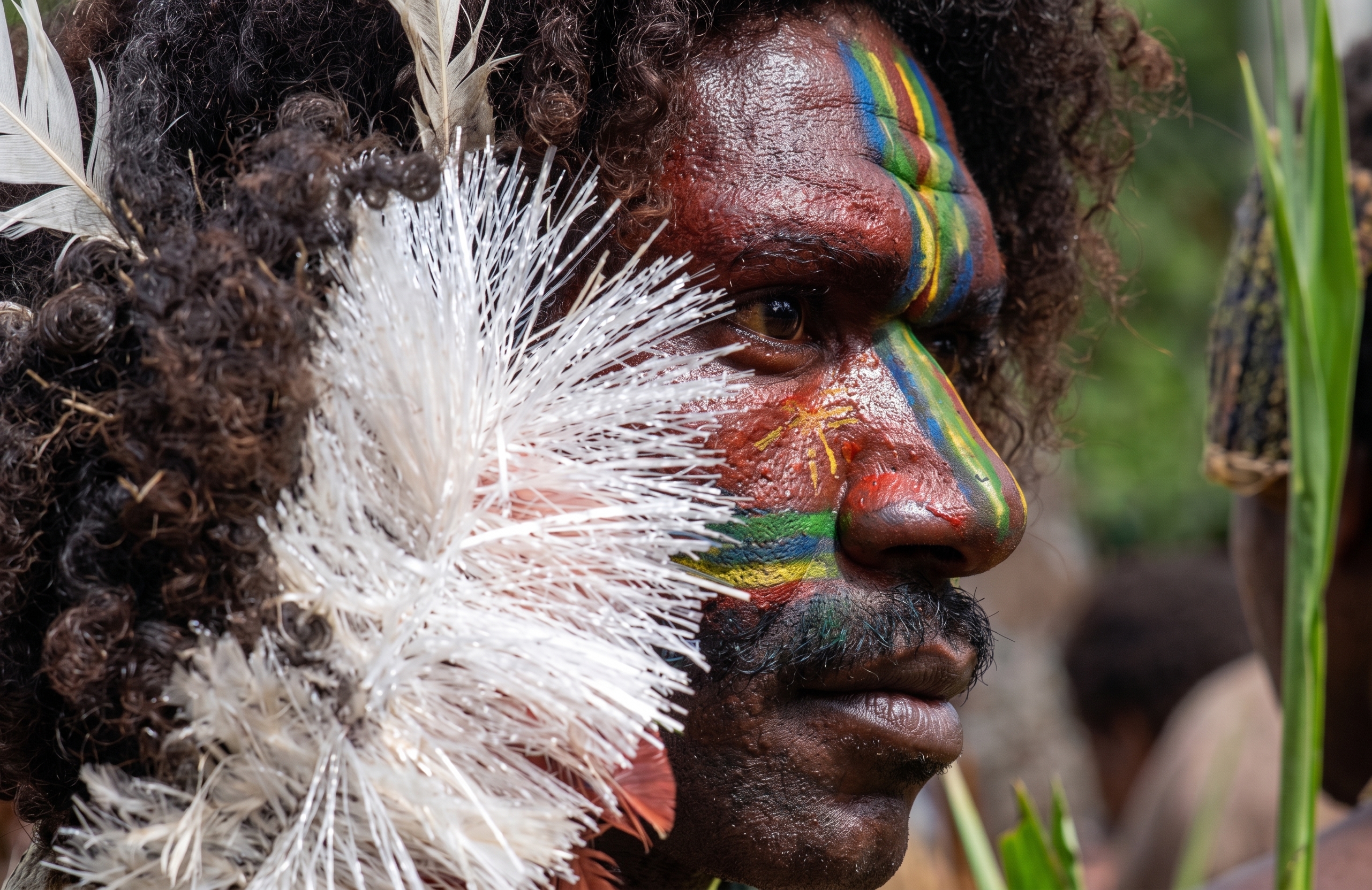 Tanna, Vanuatu — the Nekoviar ceremony 9