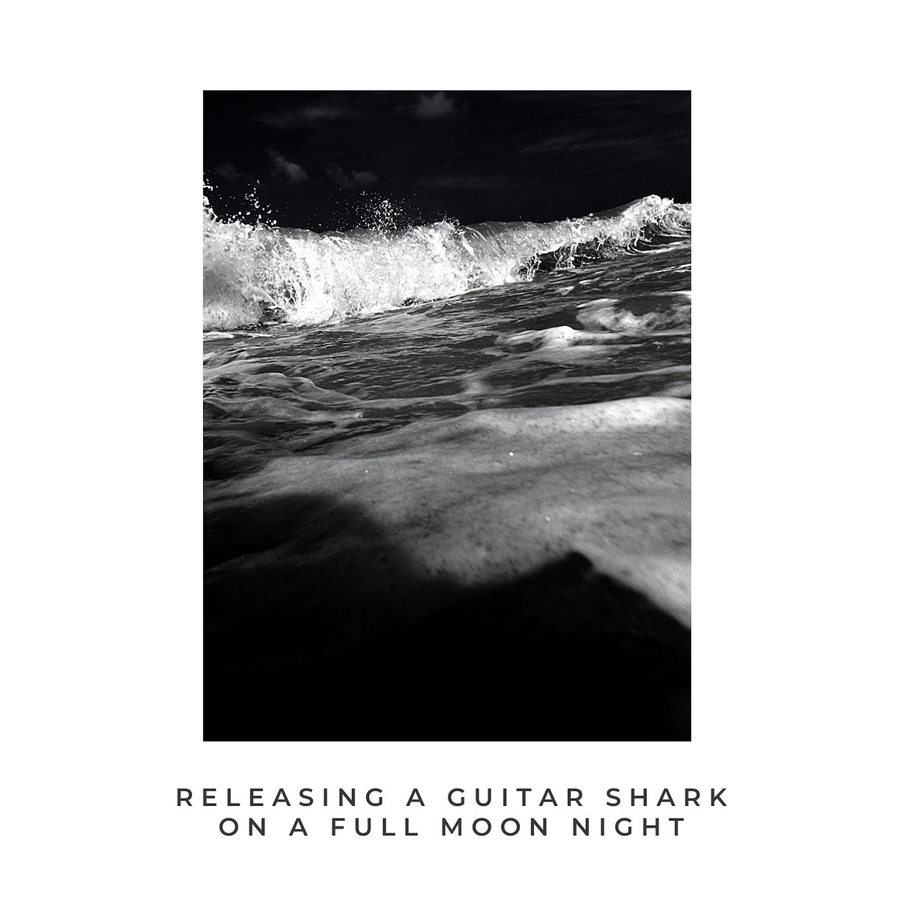 Releasing a Guitar Shark on a Full Moon Night