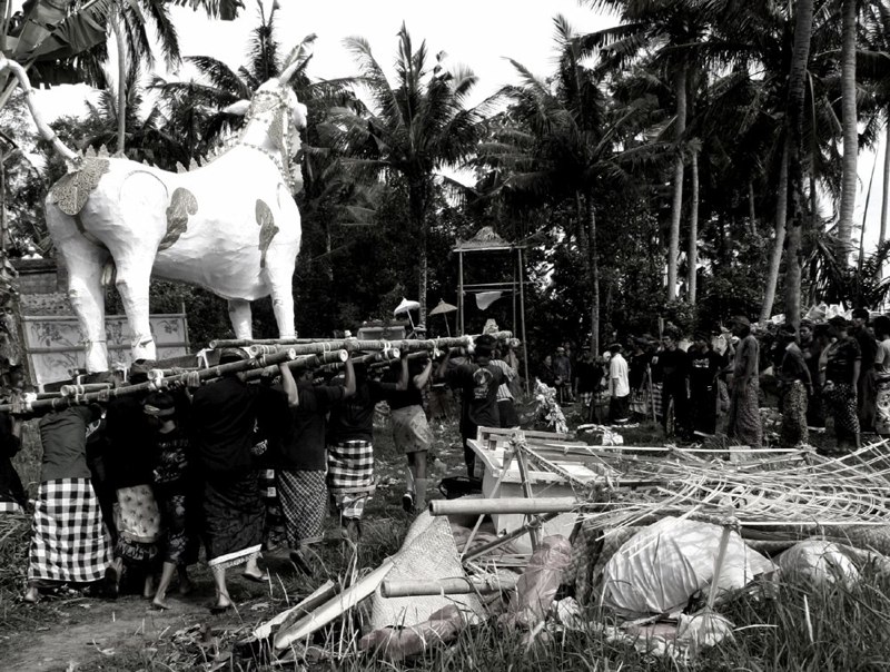 Bali Ceremonies 97
