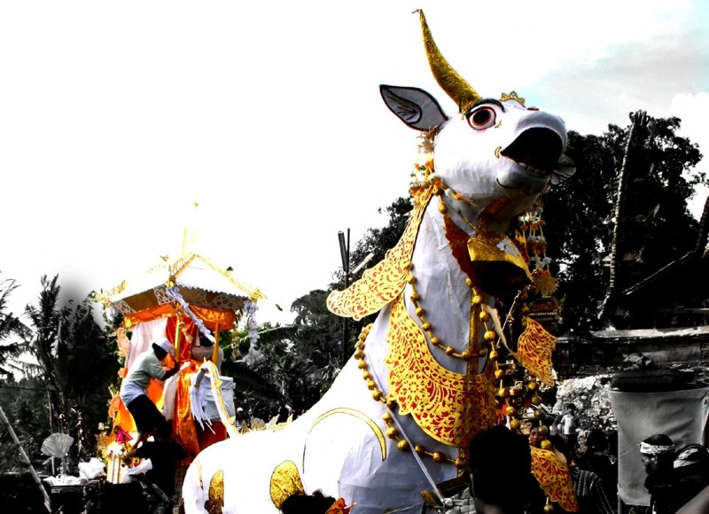 Bali Ceremonies 100