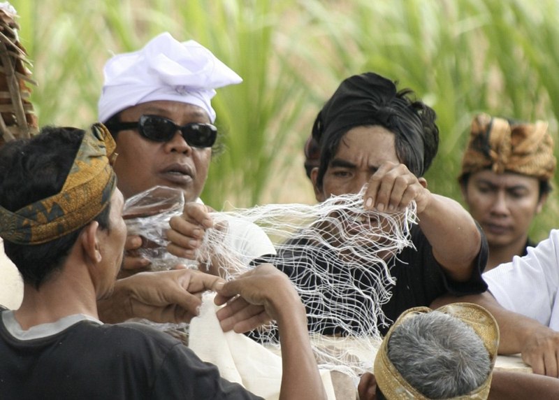 Bali Ceremonies 109