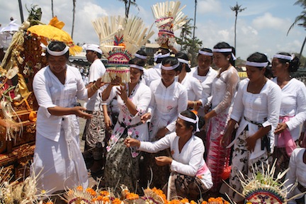 Bali Ceremonies 394