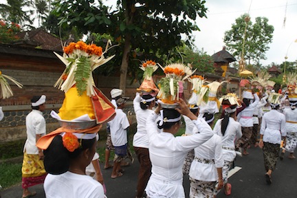 Bali Ceremonies 442