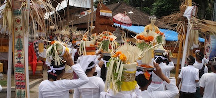 Bali Ceremonies 459