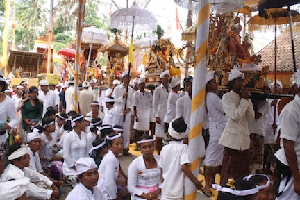 Bali Ceremonies 466