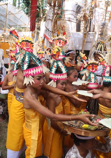Bali Ceremonies 501