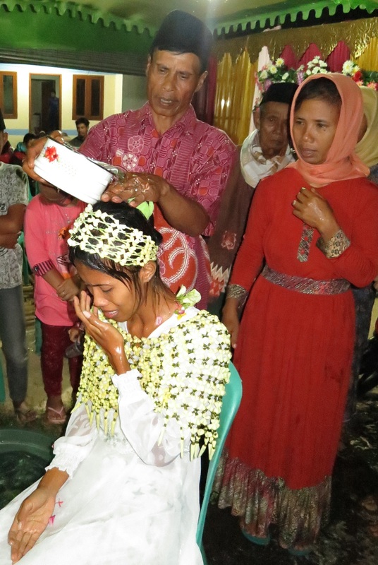 Family & Portraits — Full Album 244