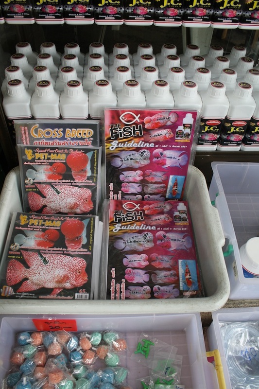 Thailand 12