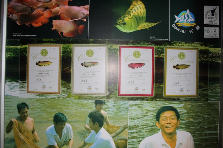 Thailand 22