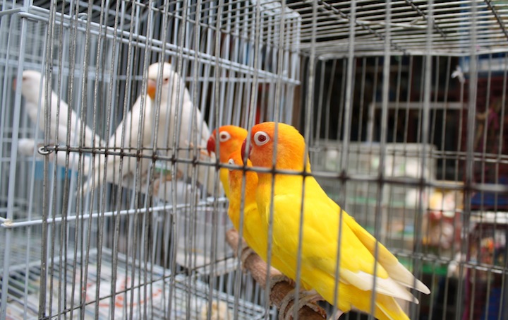 Thailand 25