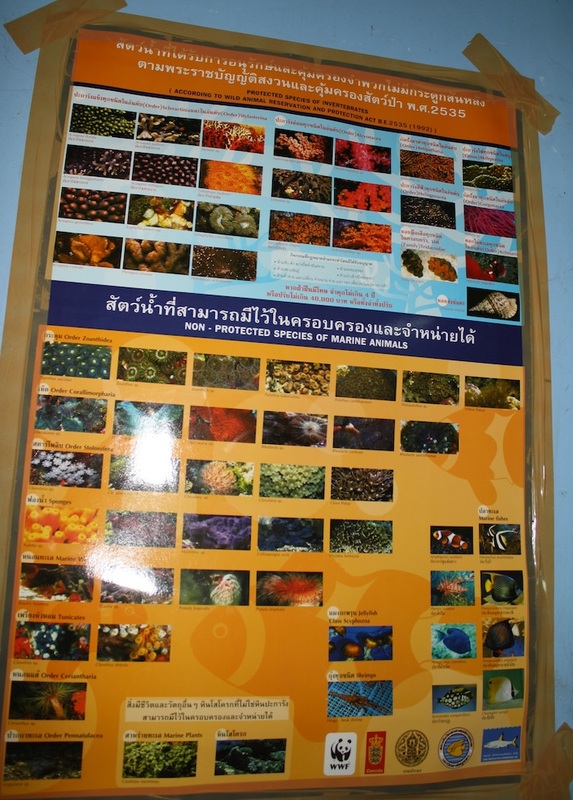 Thailand 37